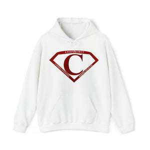 Chaplaincy (Shield) - Unisex Heavy Blend™ Hoodie